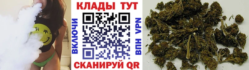 Цена Зуевка COCAIN  Лсд 25  Гашиш 