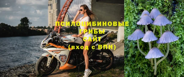 МДПВ Алзамай