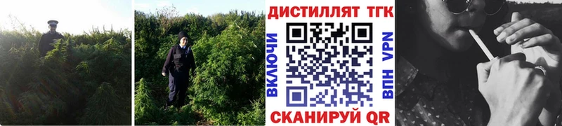 Дистиллят ТГК вейп с тгк  Зуевка 
